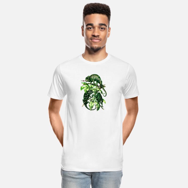 Chameleons
