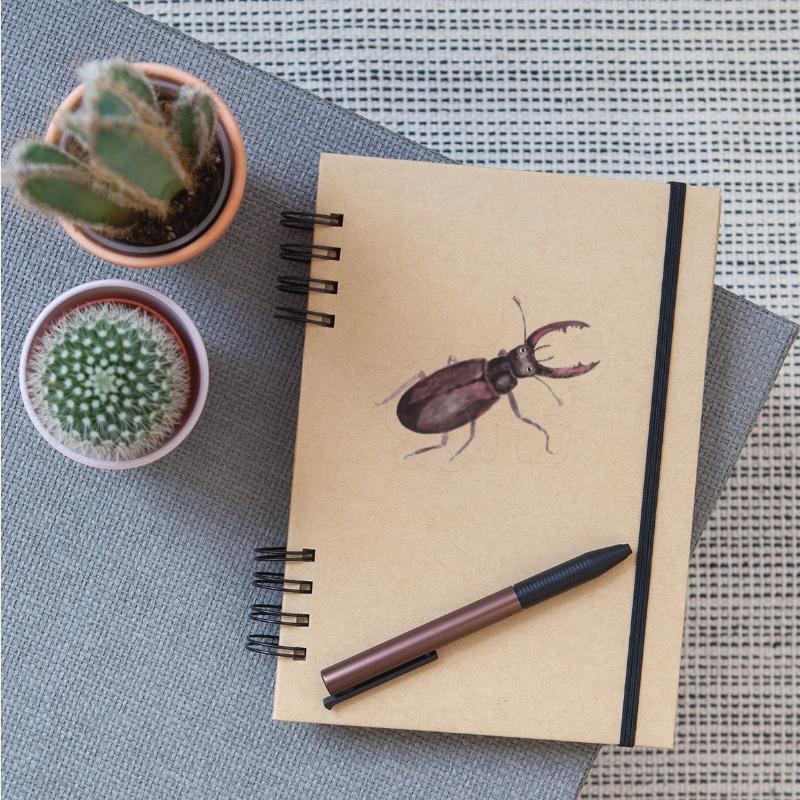 Cute Greater Stag Bug Illustration