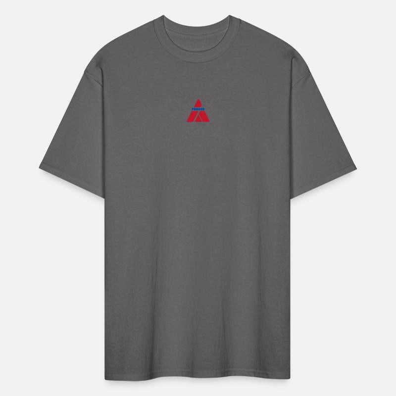 Geometric Triangle Logo with PROOO Text