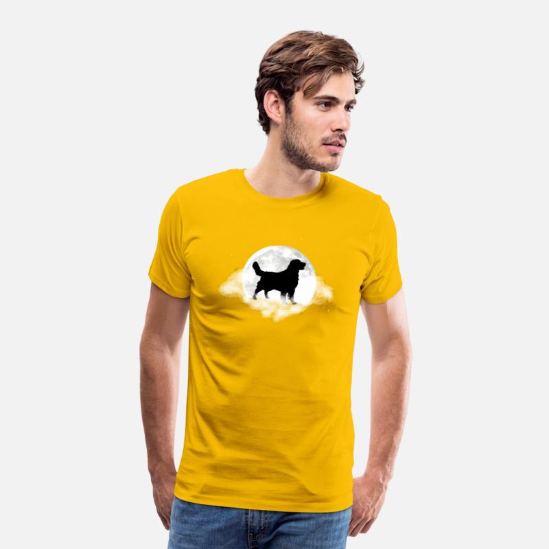 Golden Retriever For