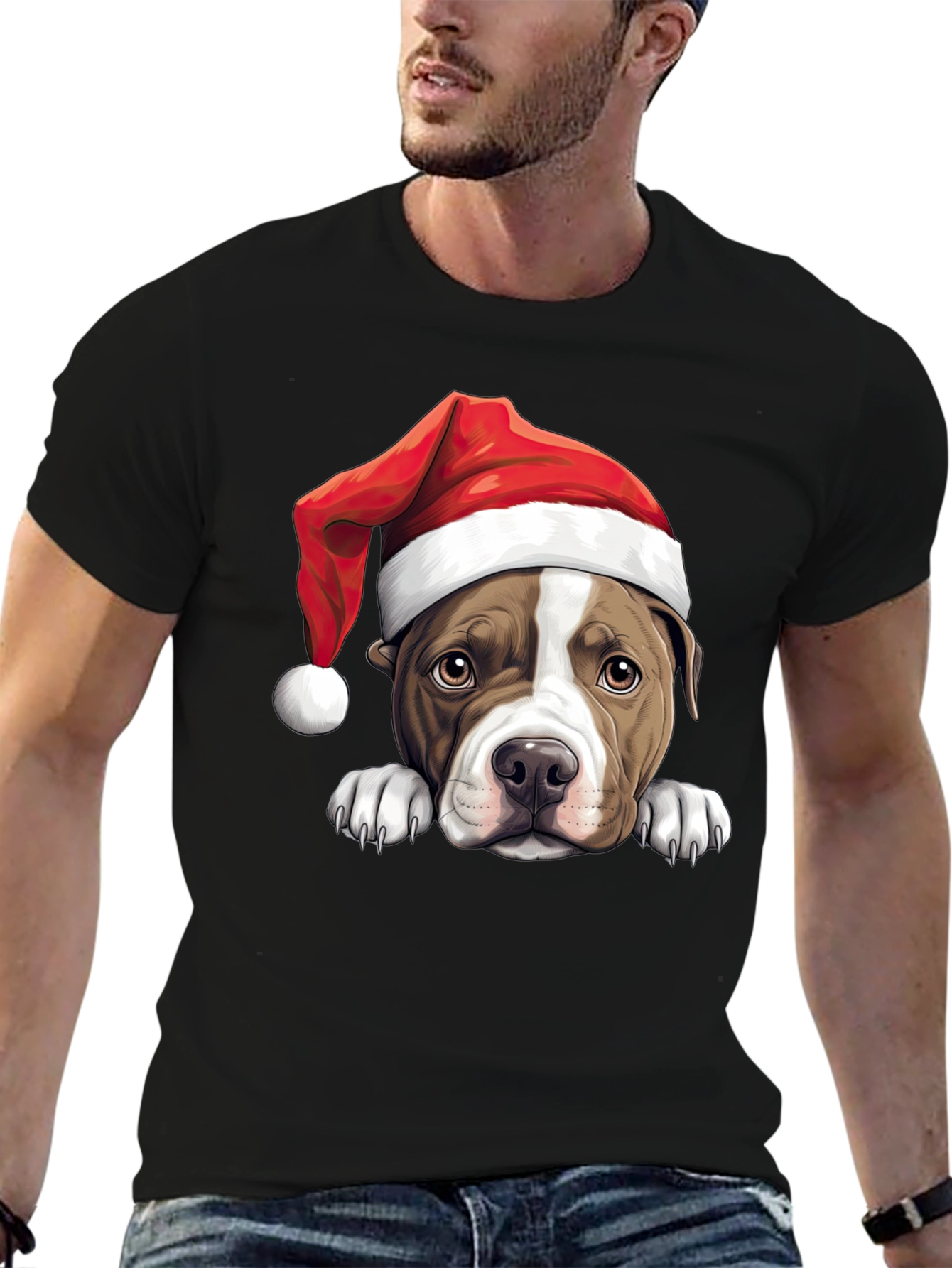Dog in Santa Hat Graphic Tee