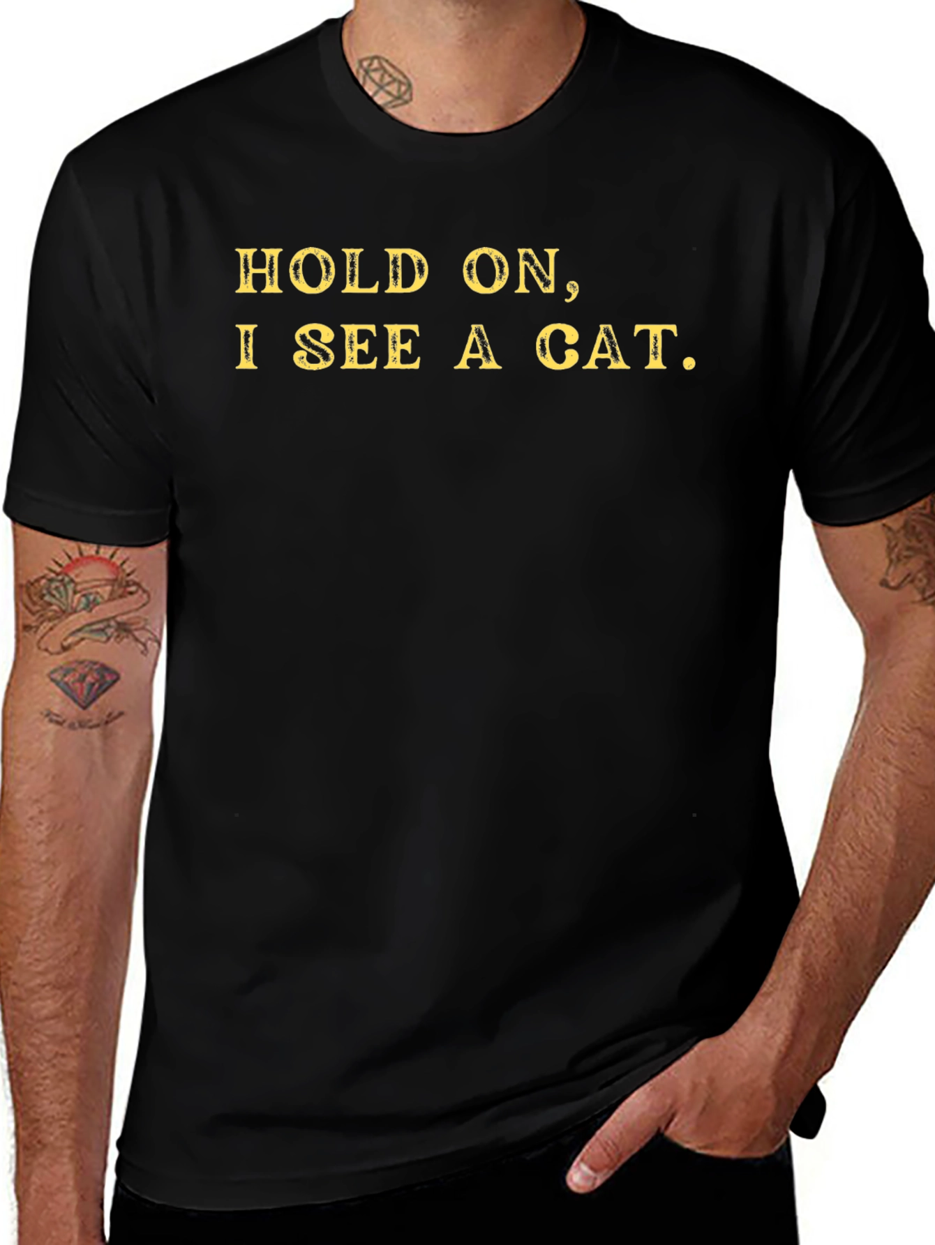Hold On I See a Cat T-Shirt