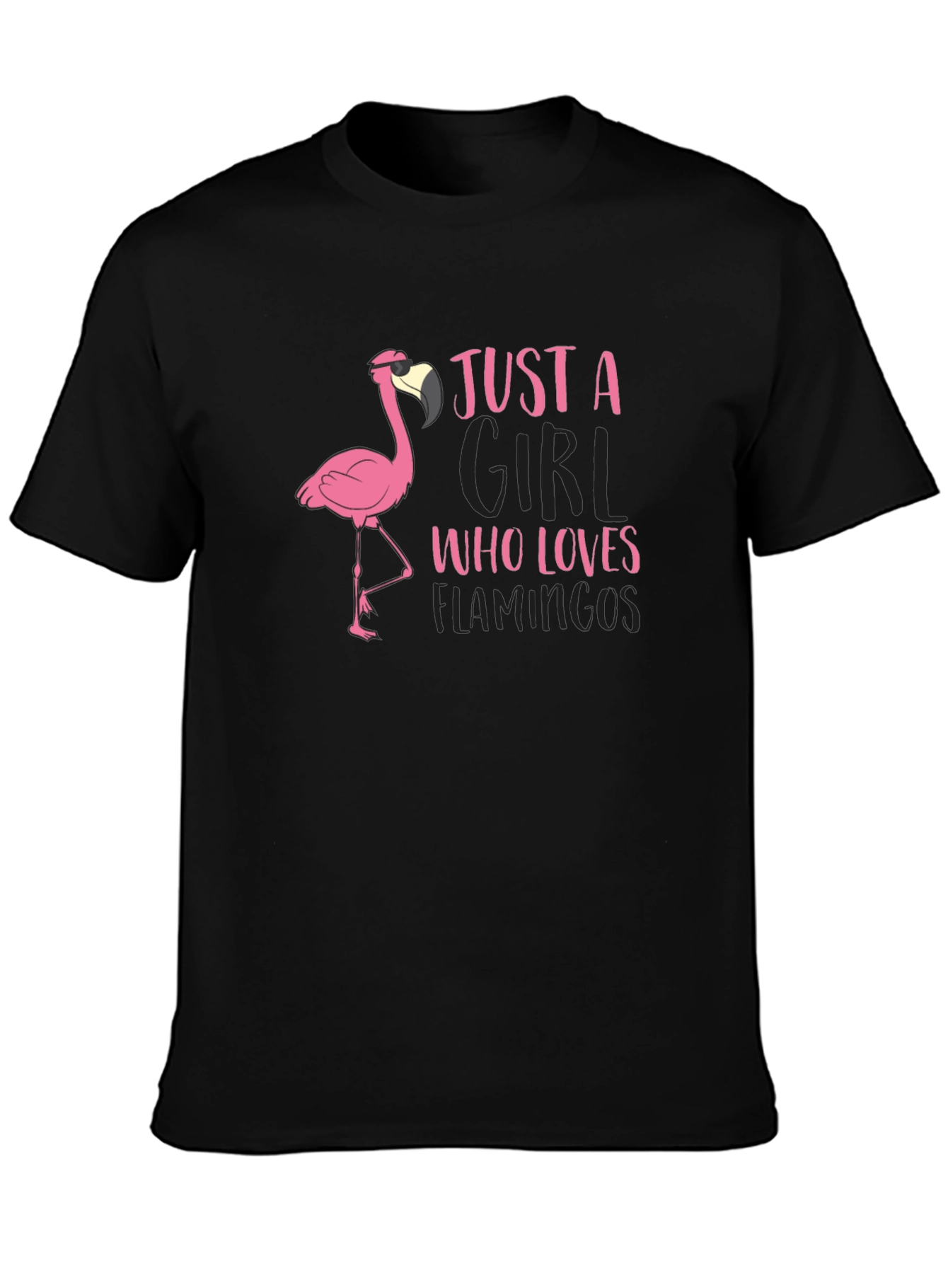 Just A Girl Who Loves Flamingos T-Shirt