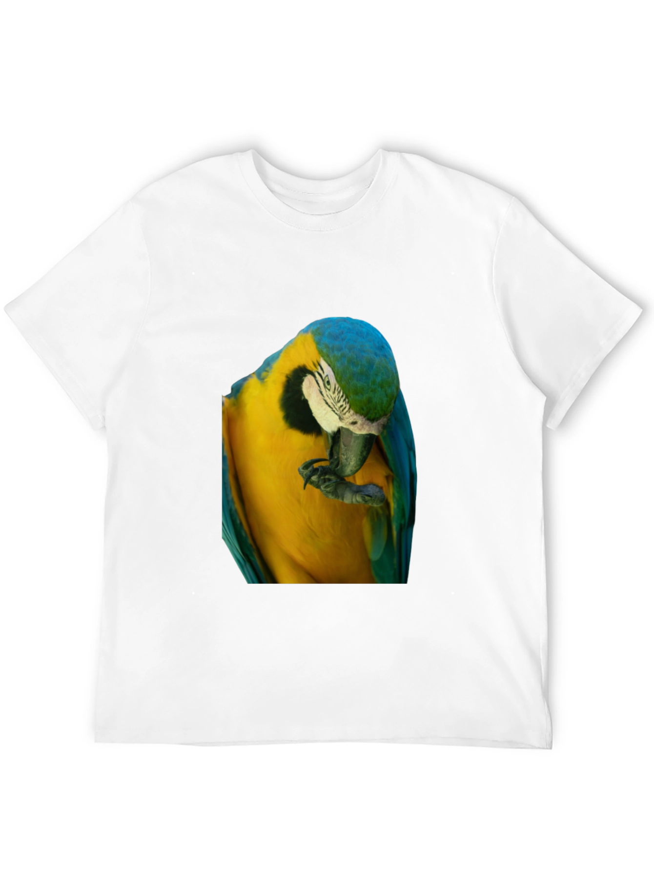 Parrot Graphic T-Shirt