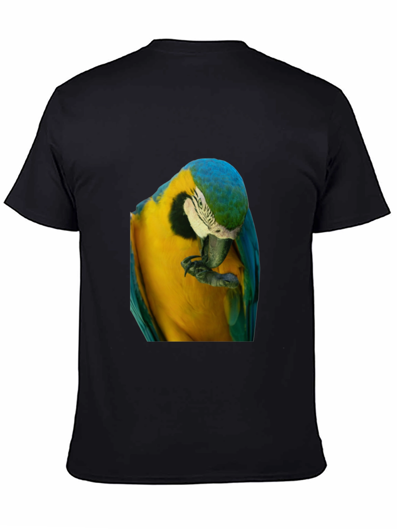 Parrot Graphic T-Shirt