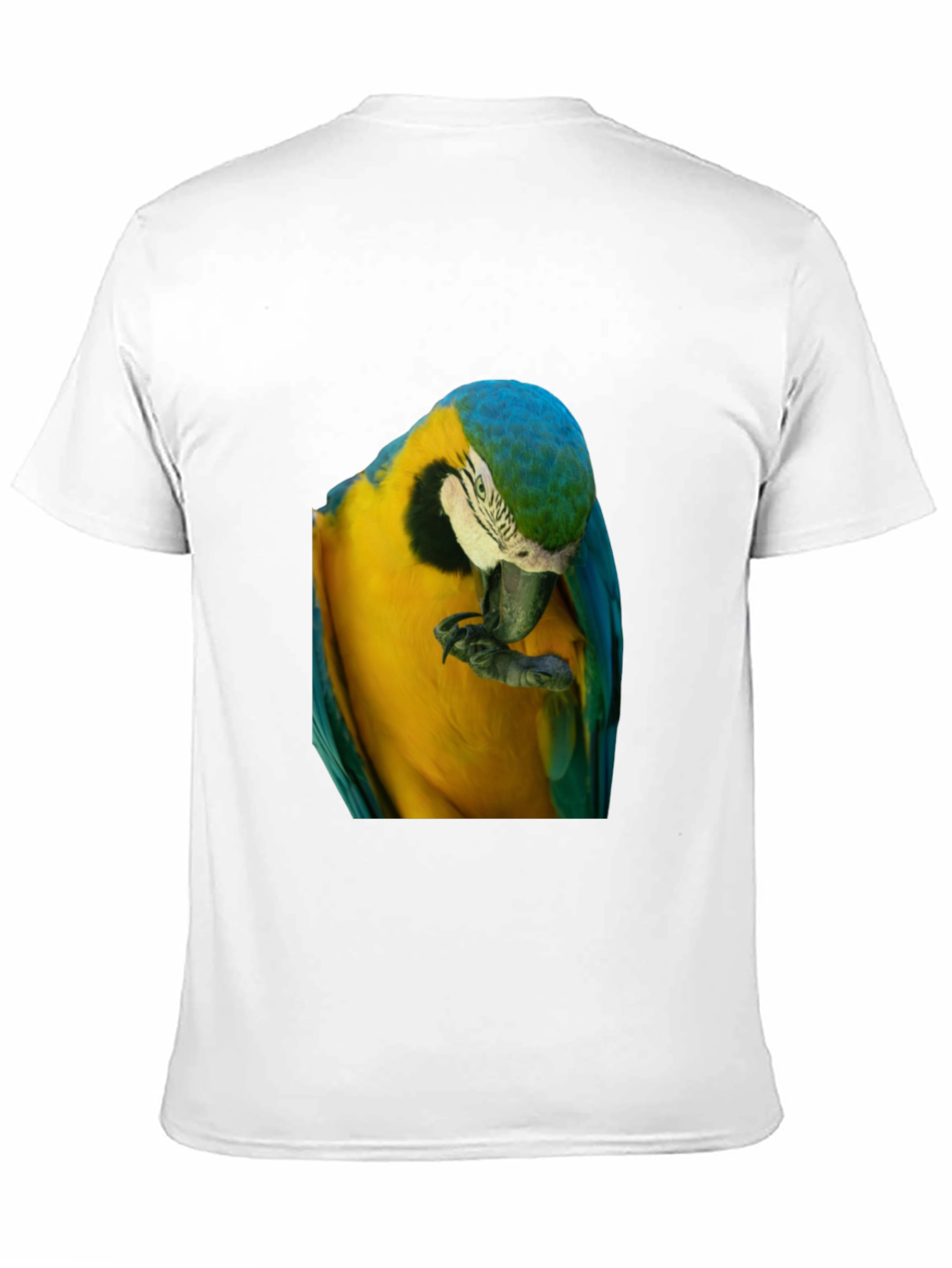 Parrot Graphic T-Shirt