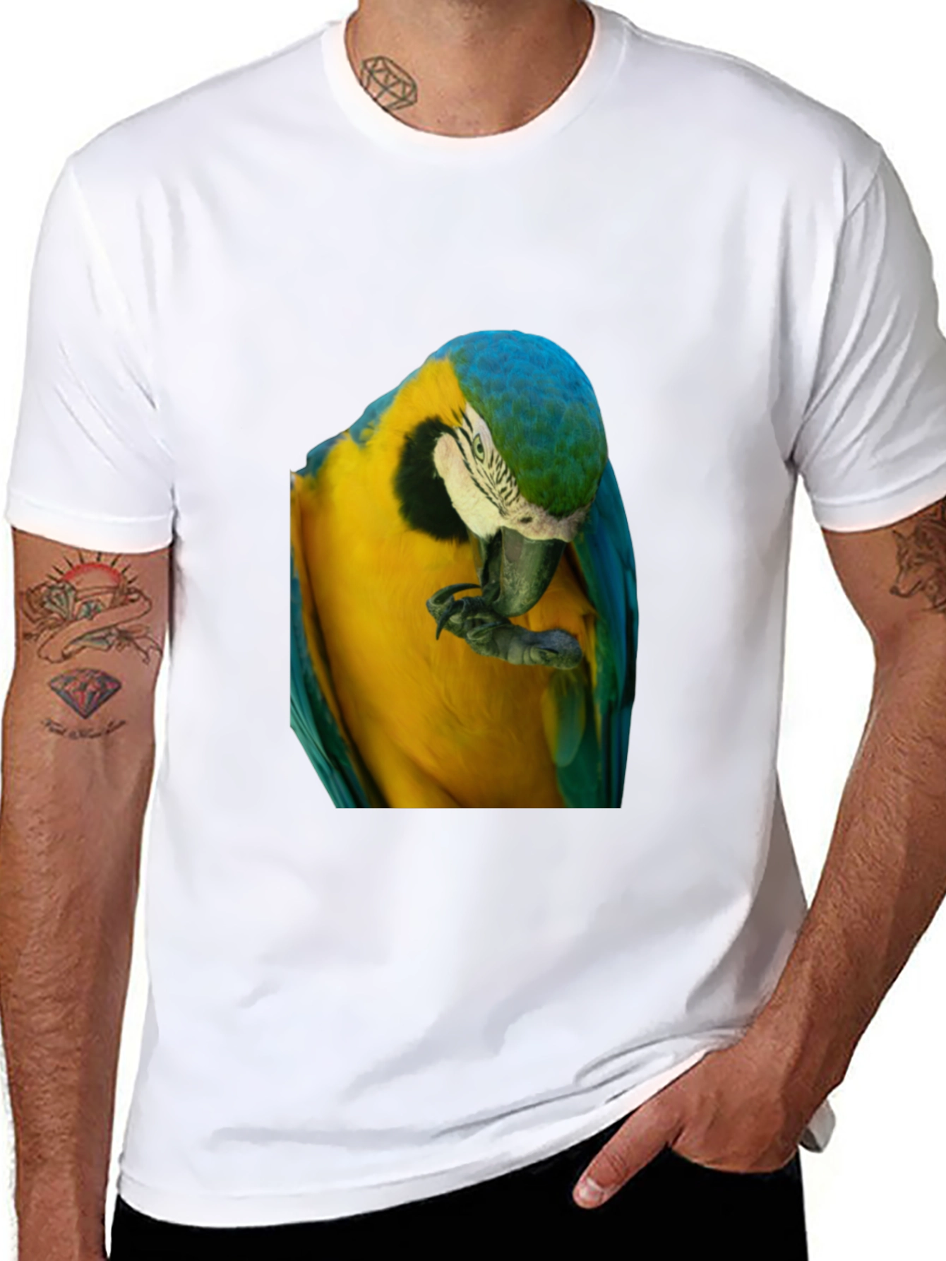 Parrot Graphic T-Shirt