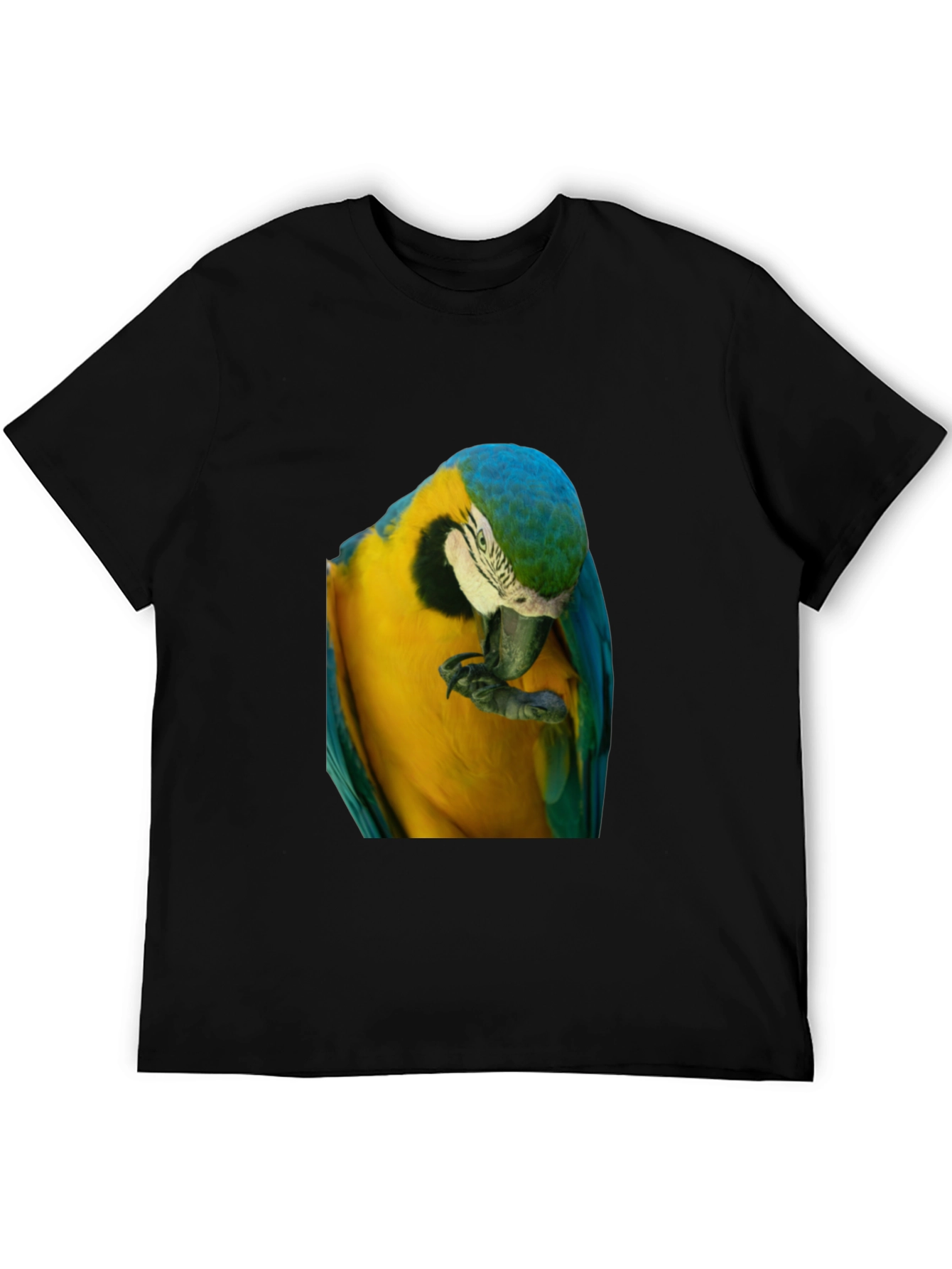 Parrot Graphic T-Shirt