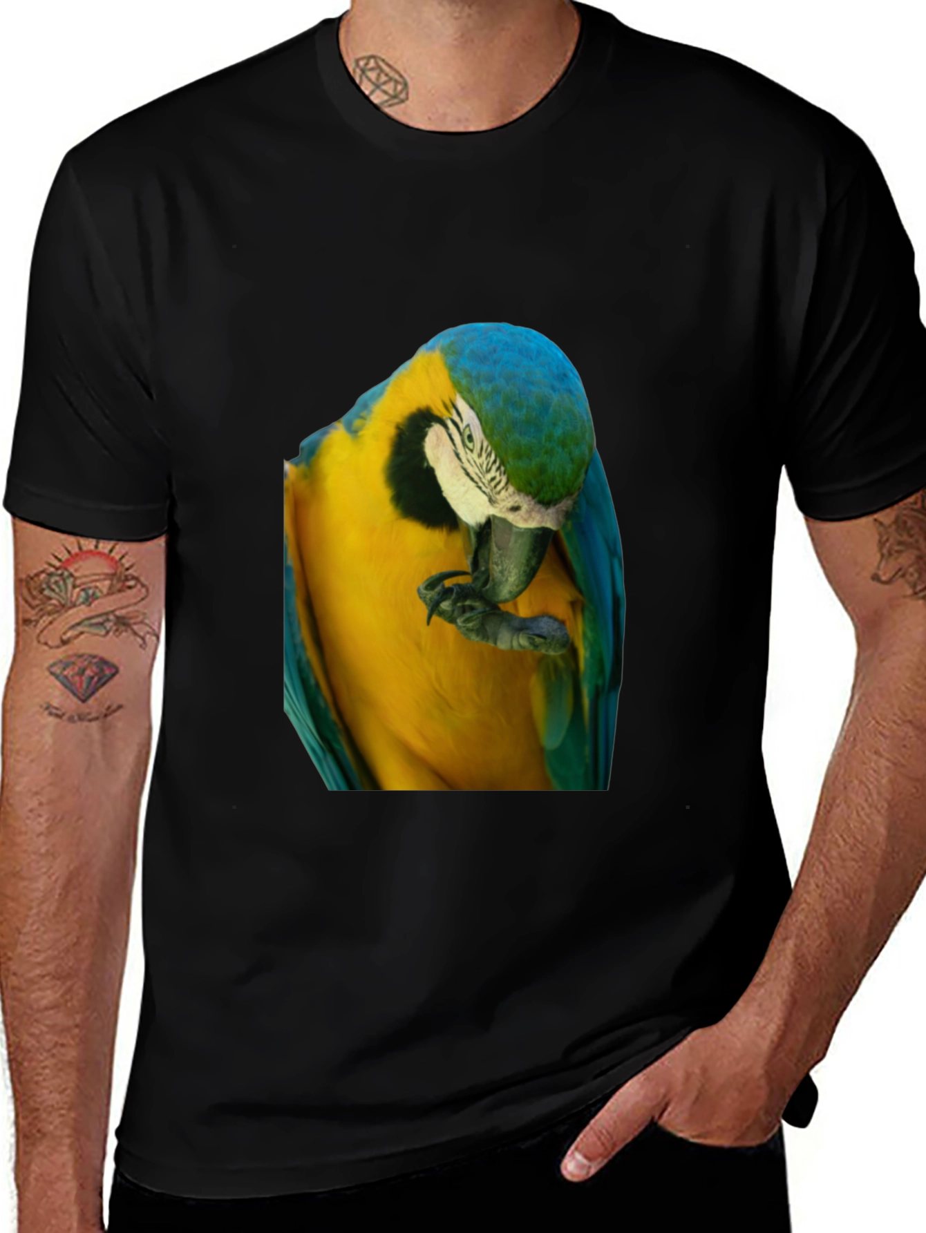 Parrot Graphic T-Shirt