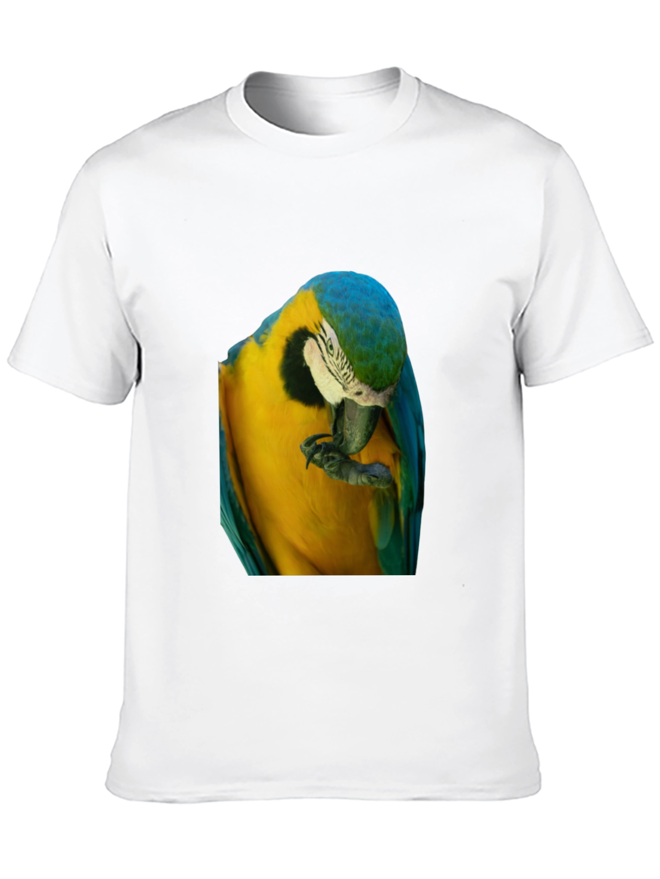 Parrot Graphic T-Shirt