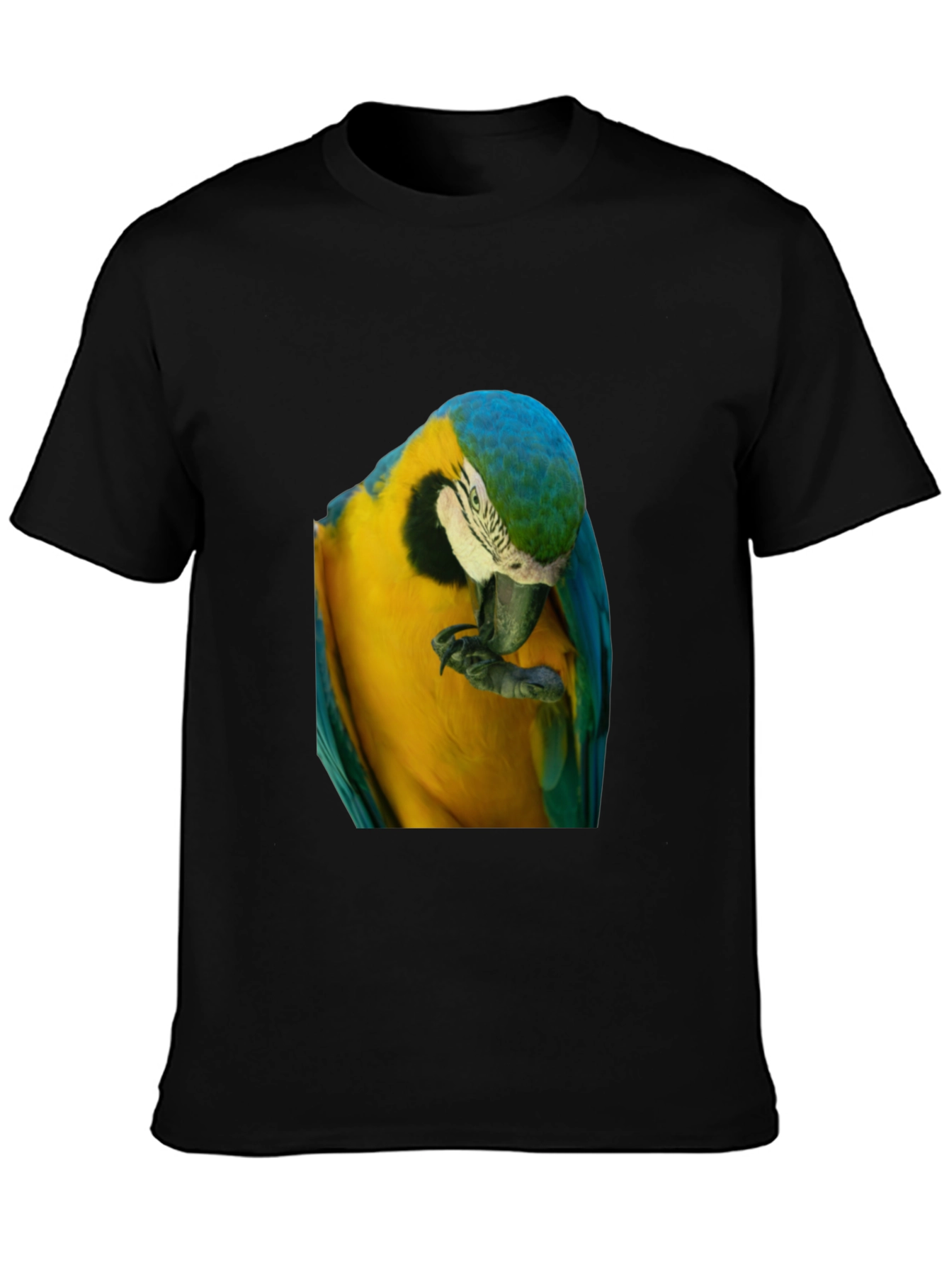 Parrot Graphic T-Shirt