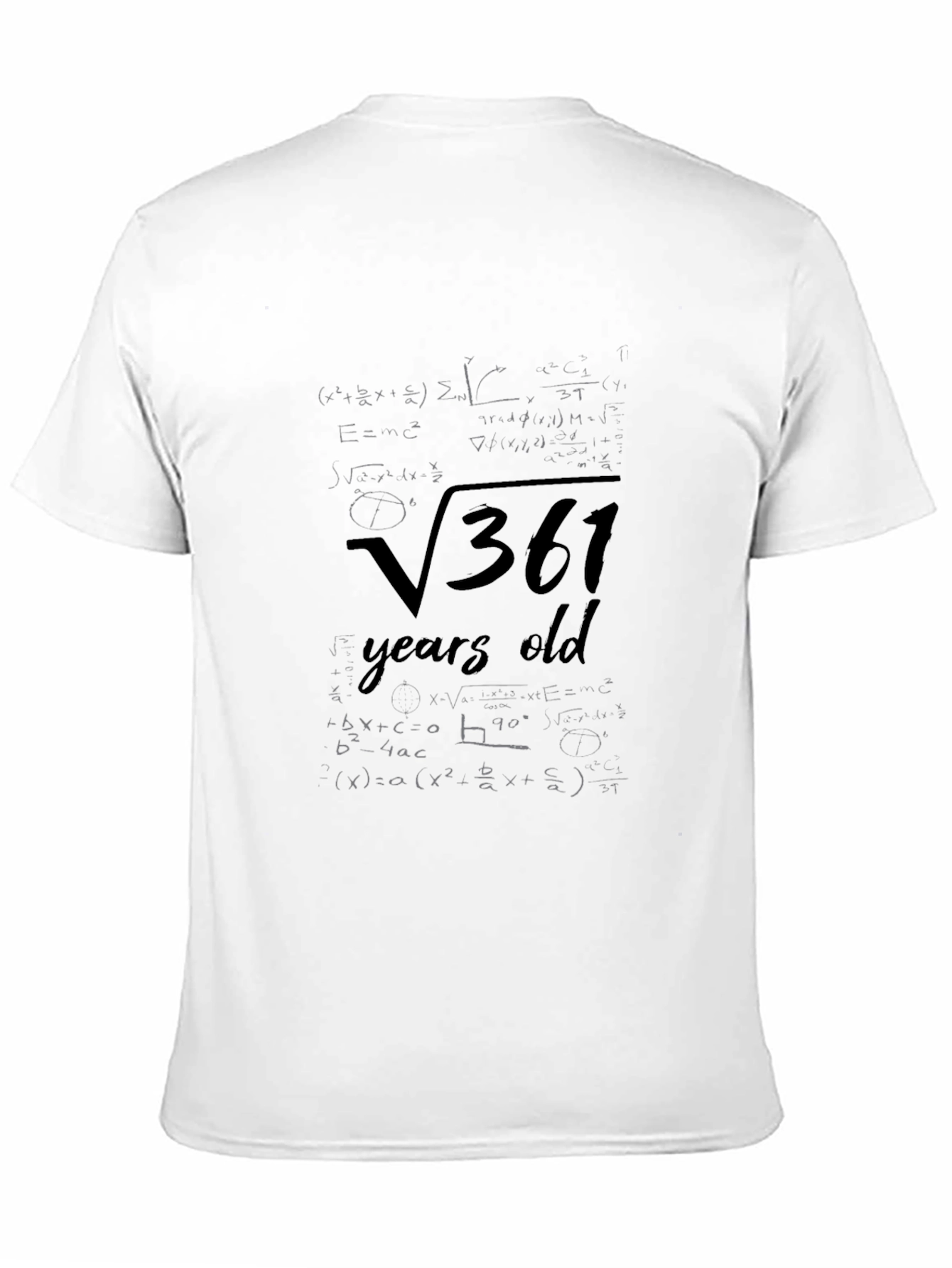 19th Birthday Math T-Shirt Square Root 361