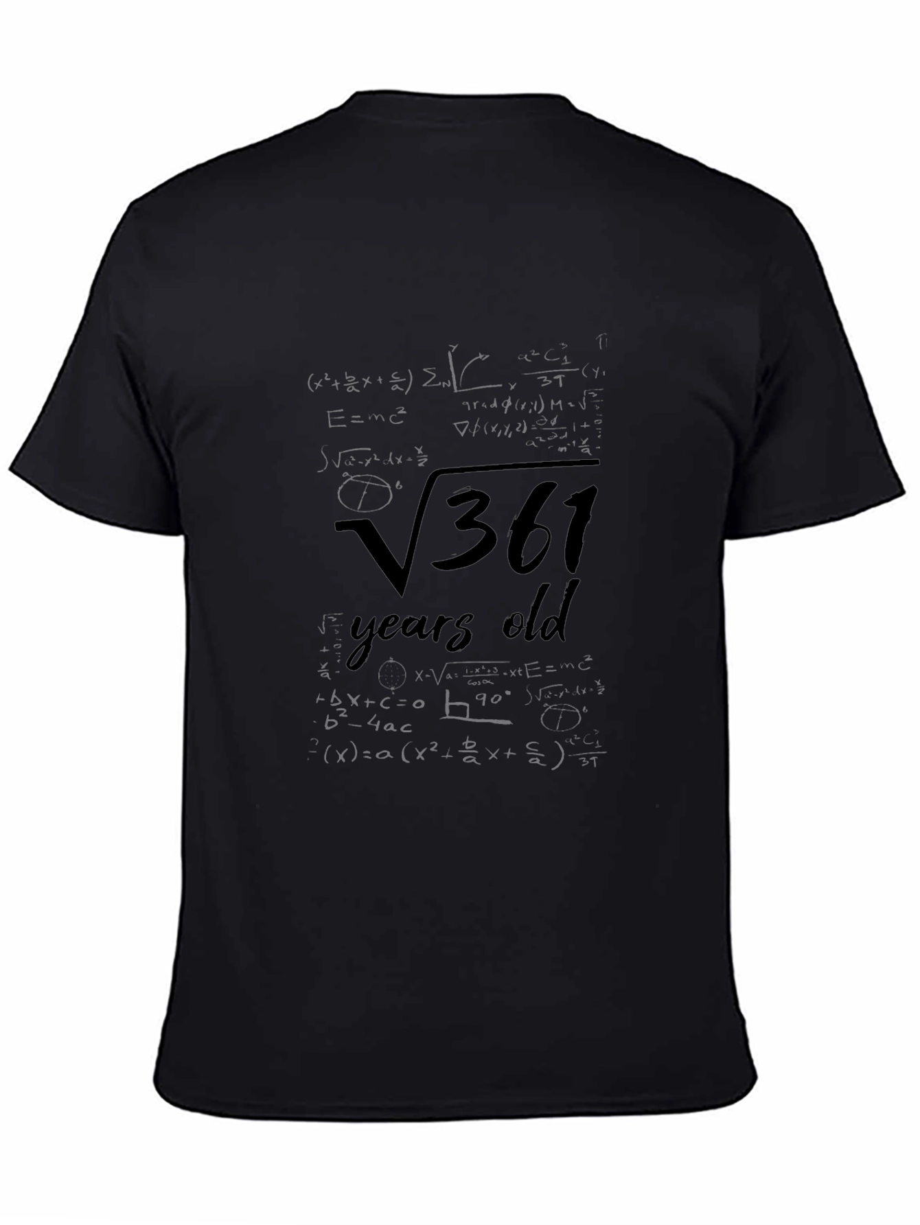 19th Birthday Math T-Shirt Square Root 361