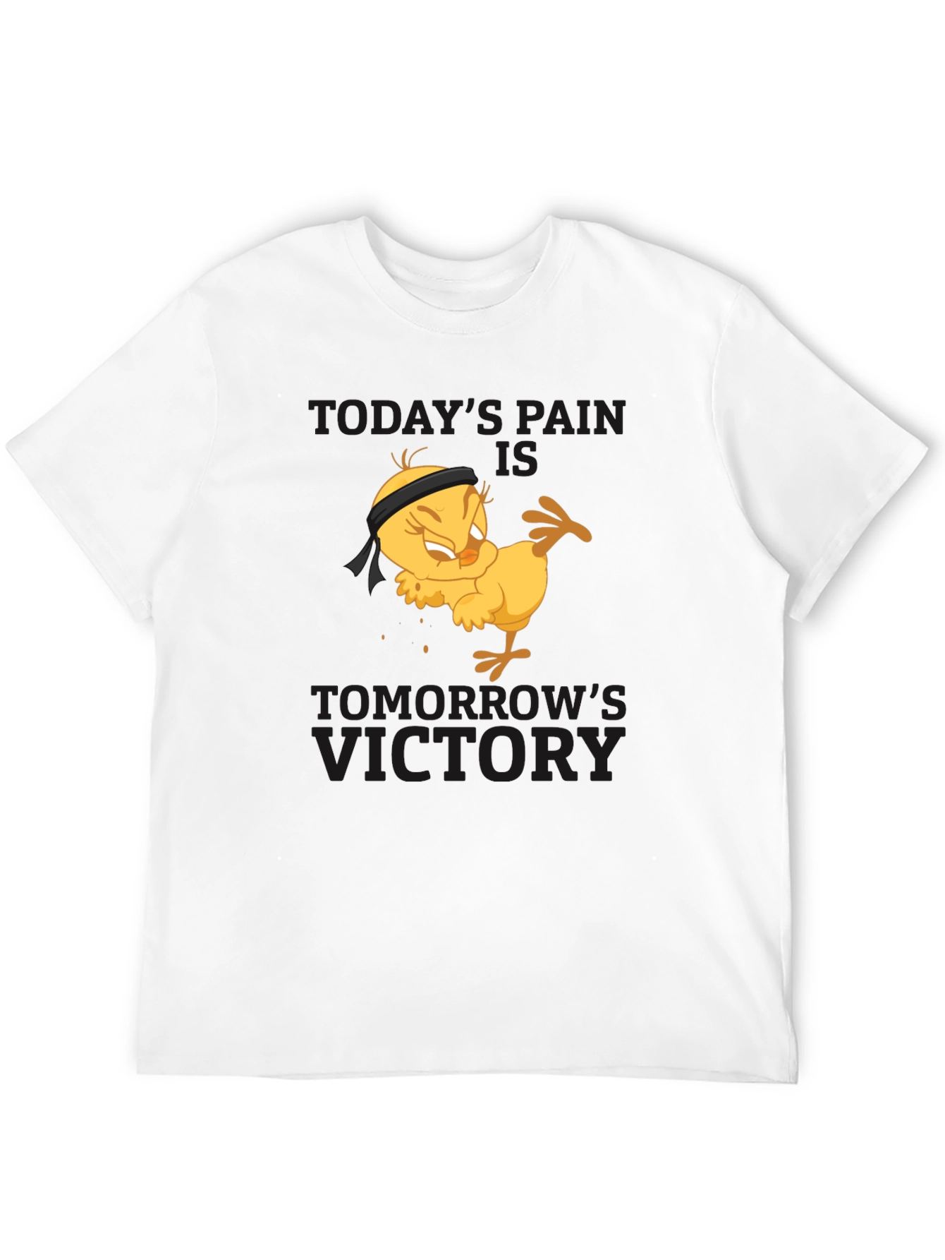Todays Pain Tomorrows Victory T-Shirt