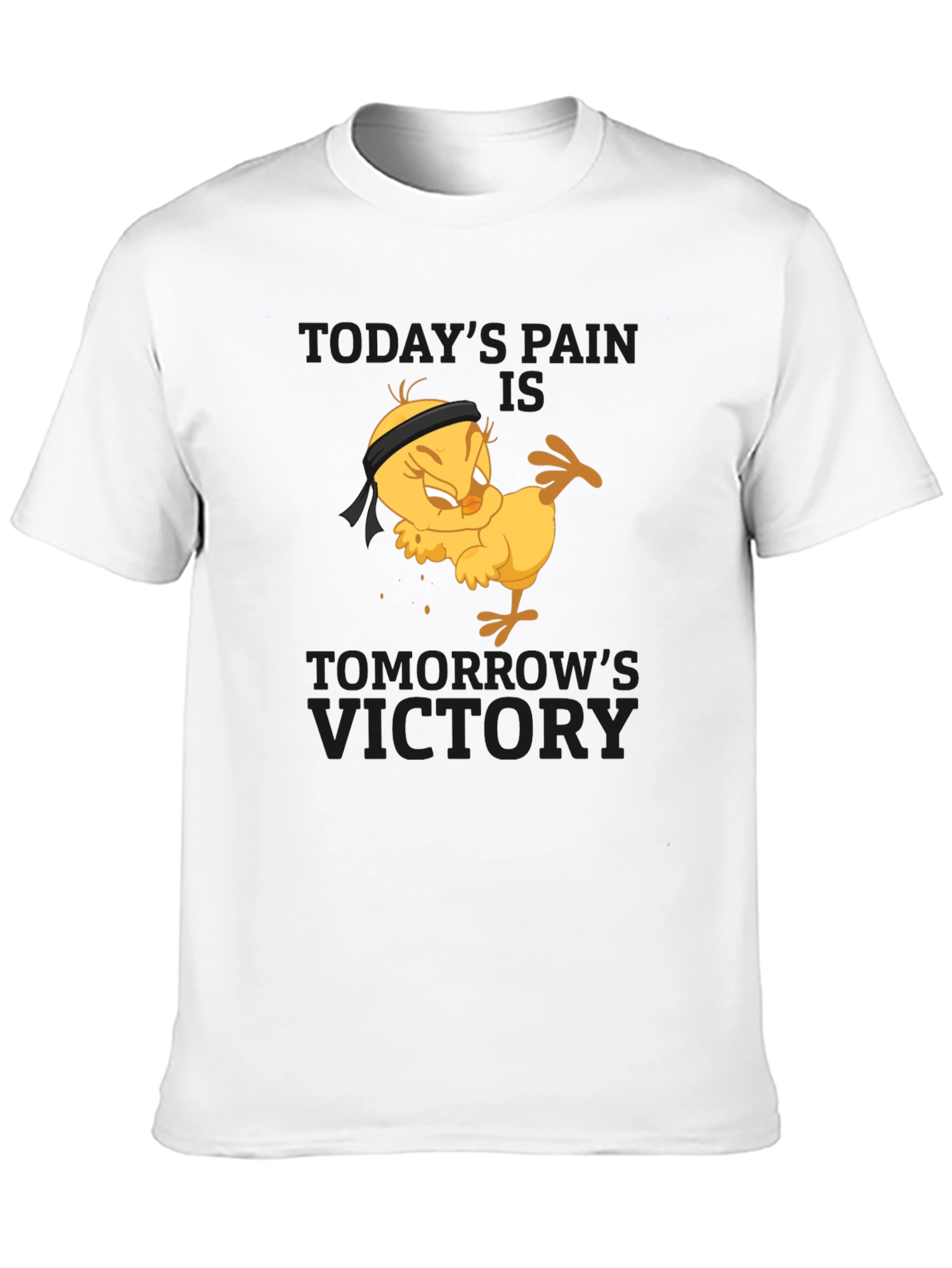 Todays Pain Tomorrows Victory T-Shirt