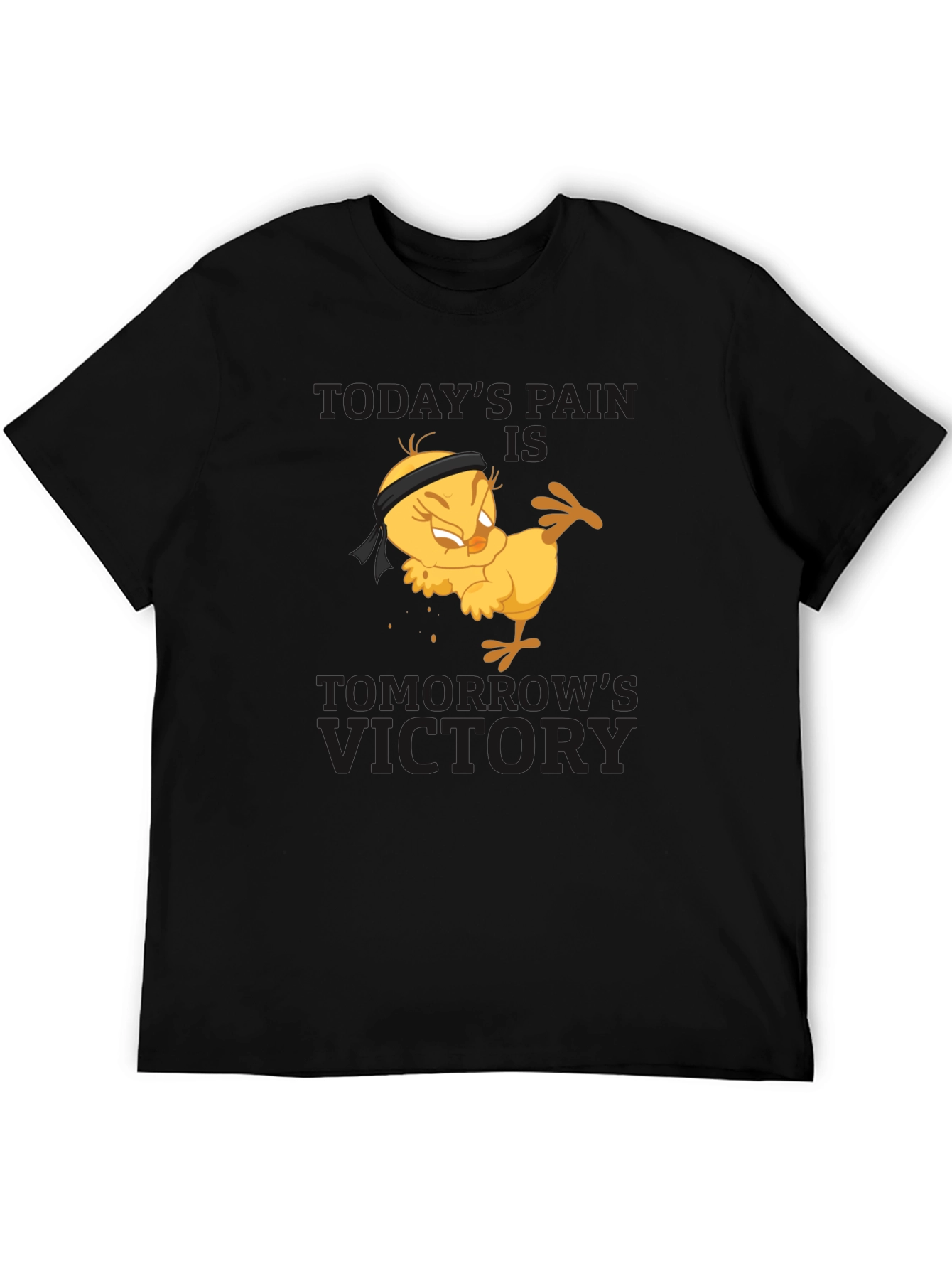 Todays Pain Tomorrows Victory T-Shirt