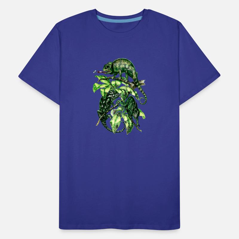 Chameleons