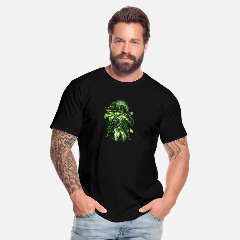 Chameleons