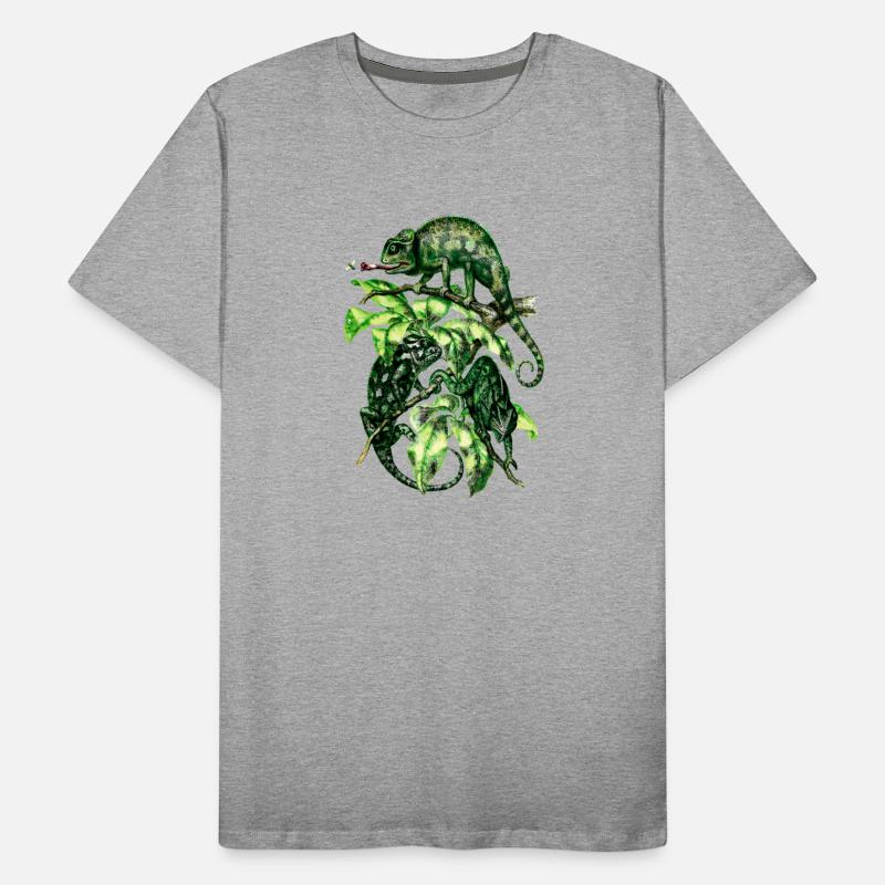Chameleons