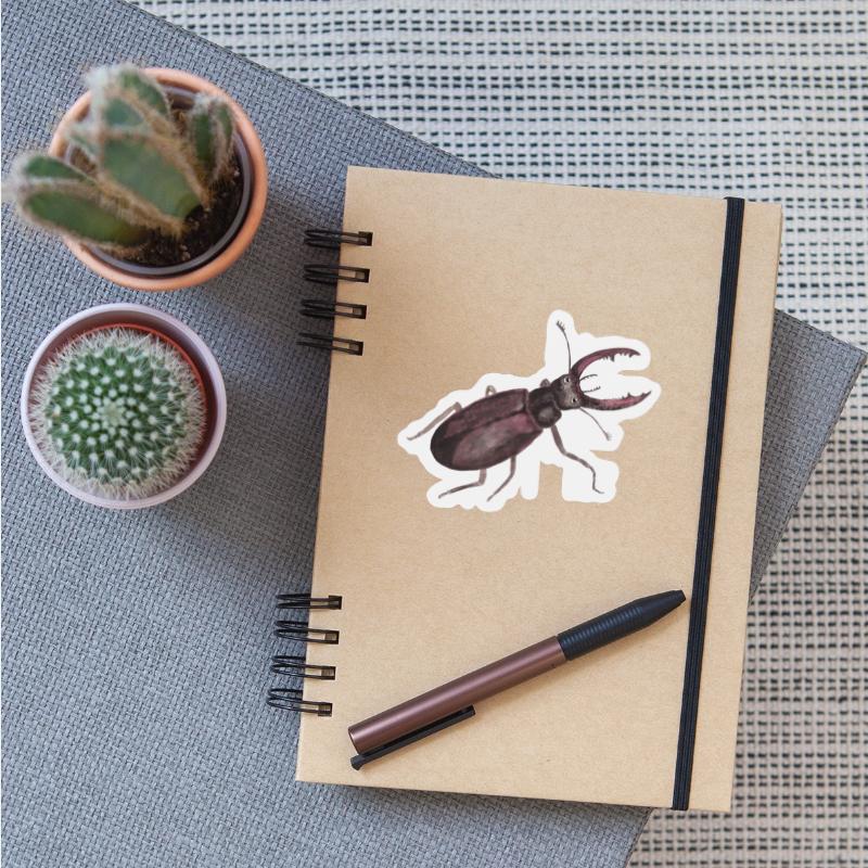 Cute Greater Stag Bug Illustration