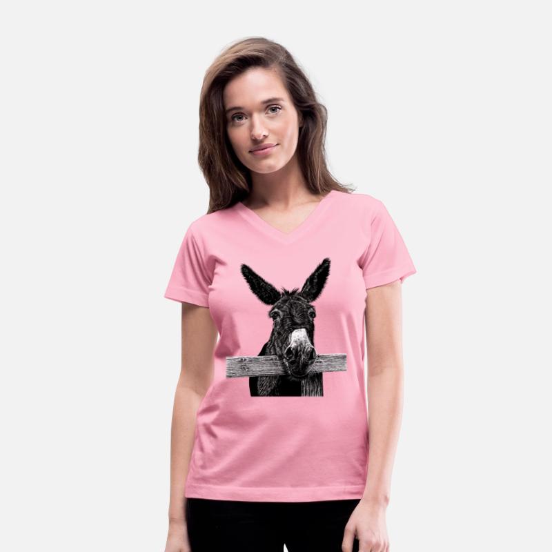 Donkey illustration