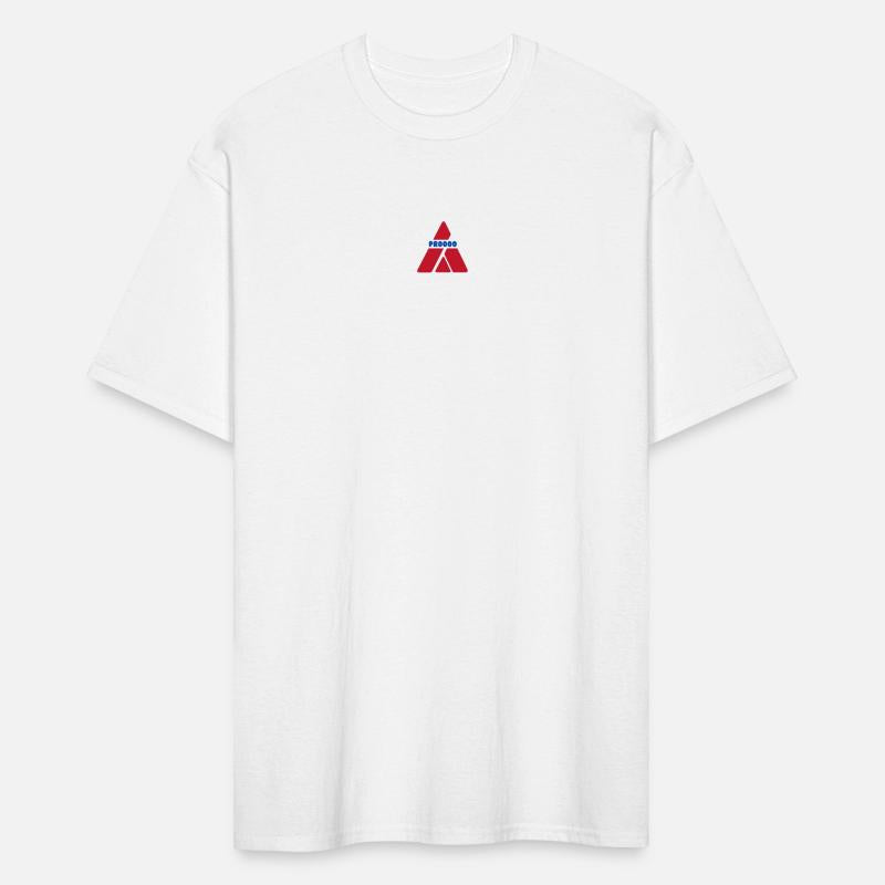 Geometric Triangle Logo with PROOO Text