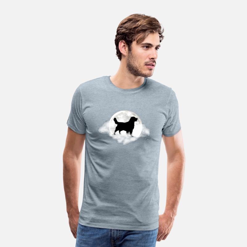 Golden Retriever For