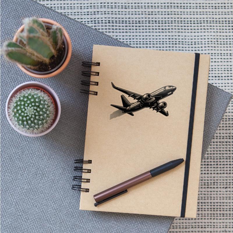 Jet Airplane At Cruising Altitude
