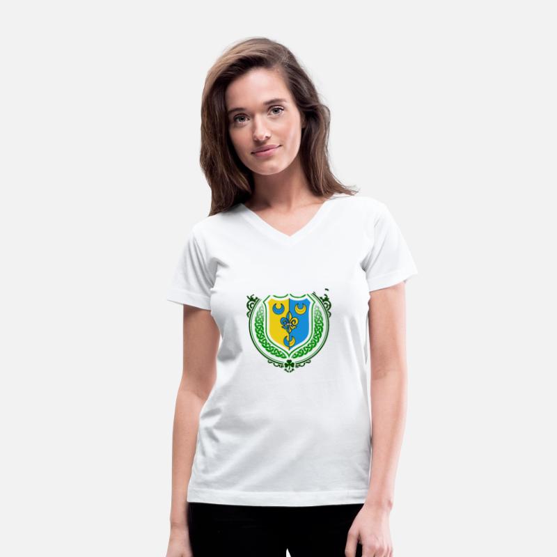 Kenny Family Irish Coat of Arms Clan Crest