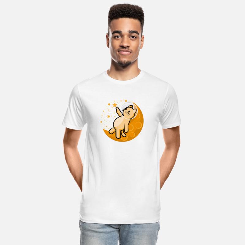 Orange cat catching star