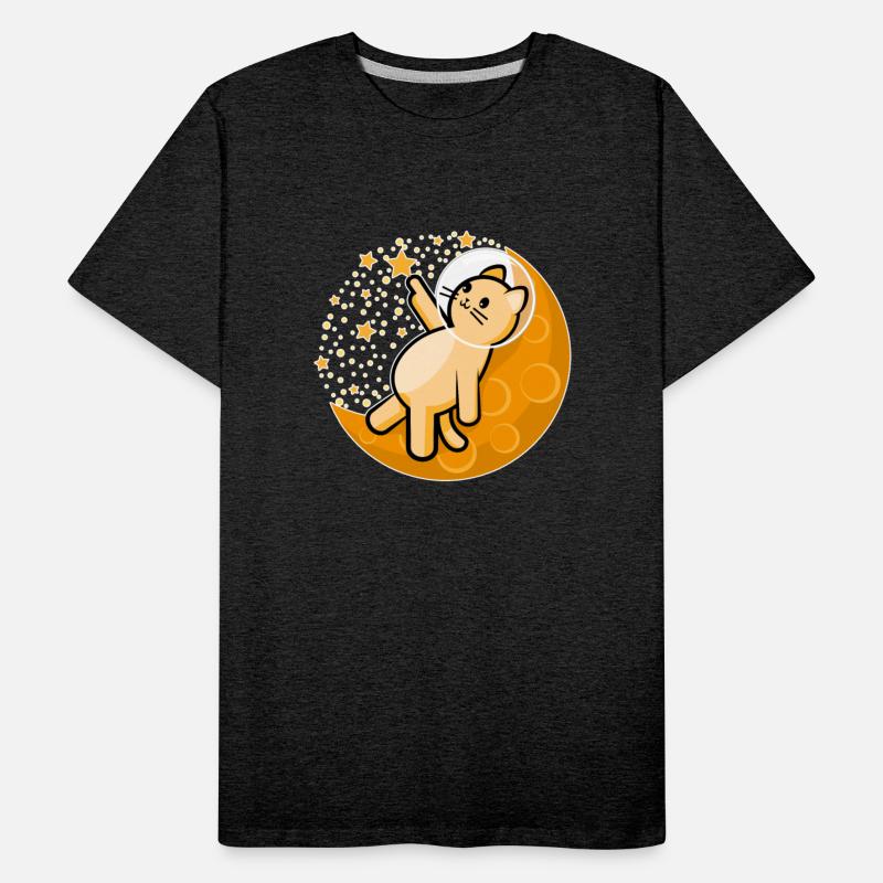 Orange cat catching star