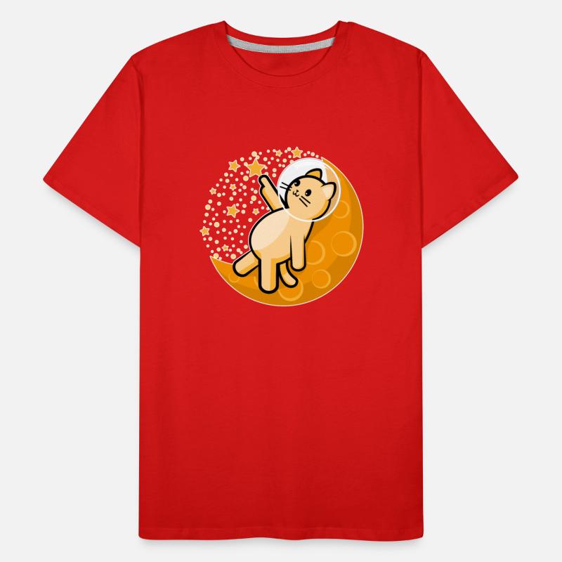 Orange cat catching star