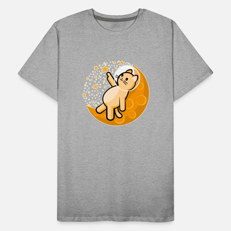 Orange cat catching star
