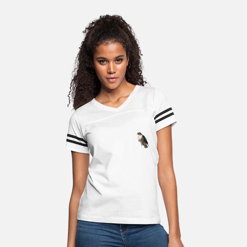 Red-Tail Hawk - Best Buteo Birder