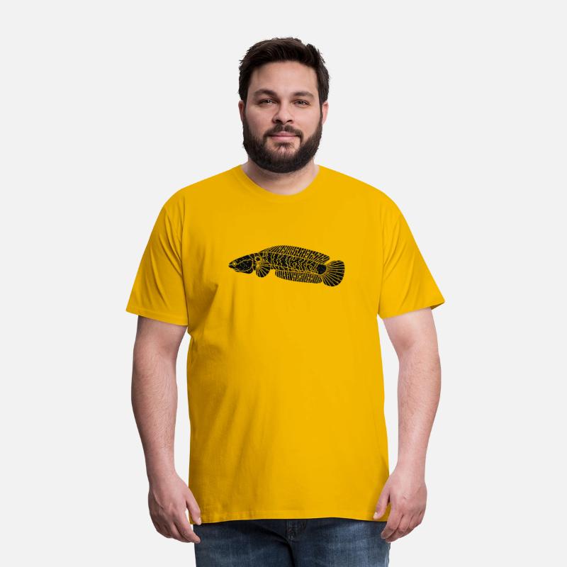 star rain channa snakehead fish illustrations