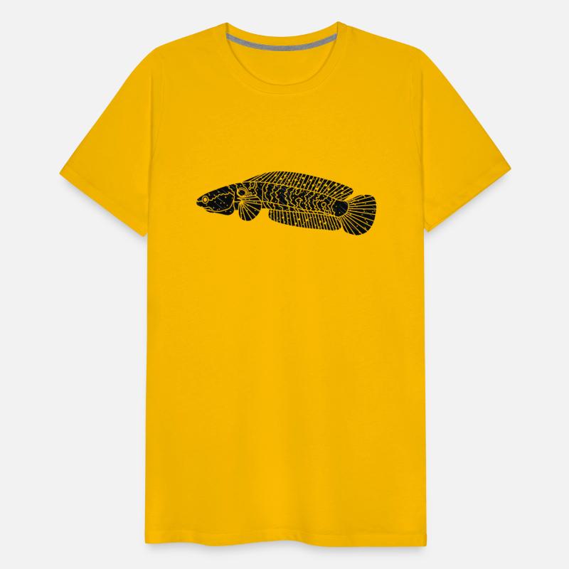 star rain channa snakehead fish illustrations