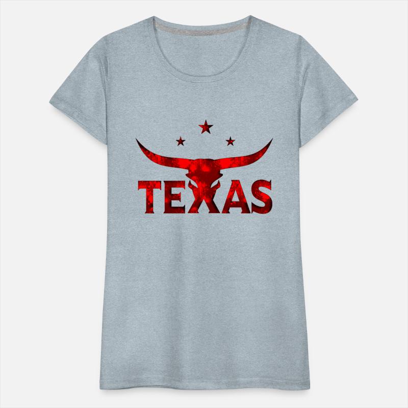 texas usa america travel united symbol houston
