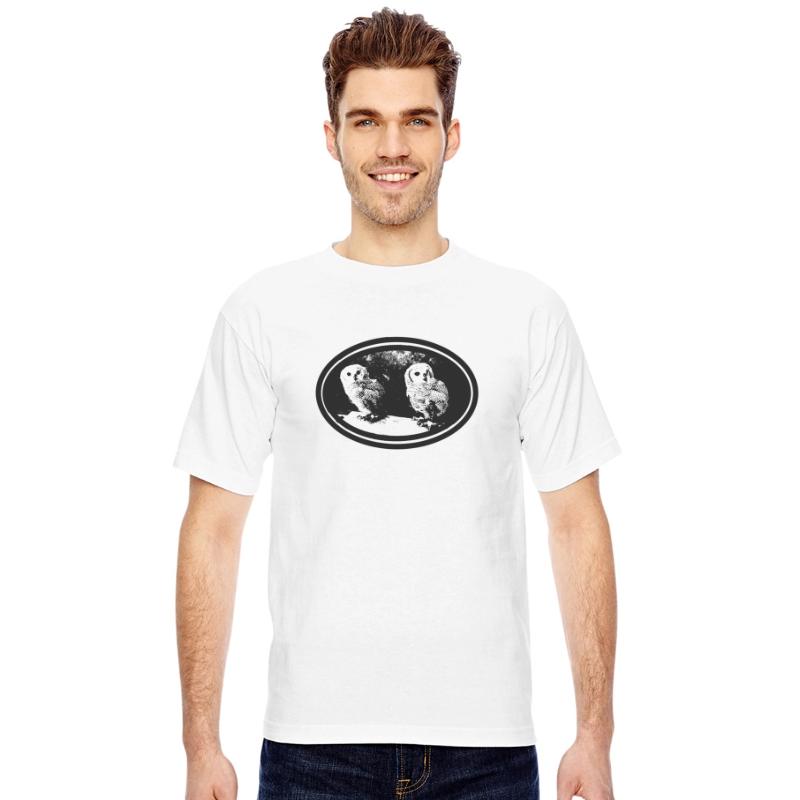 Twin Owls in Harmony