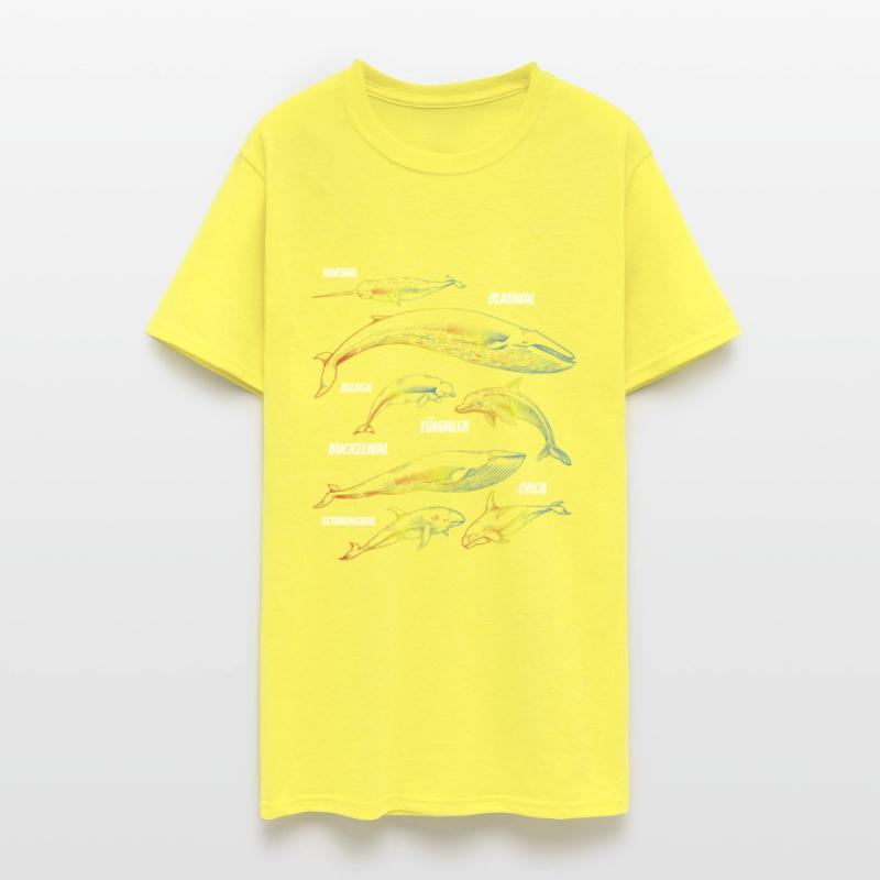 Whale Species Blue Whale Sea Marine